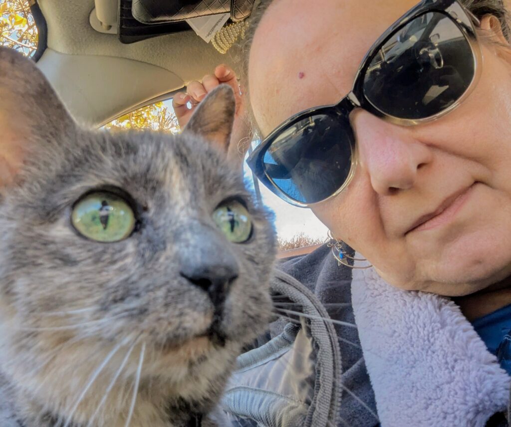 Close-up of Libby, our gray cat with green eyes. In a car in the foreground, with Alesia in the background wearing sunglasses. Alesia writes character-driven fantasy fiction. Libby supervises.