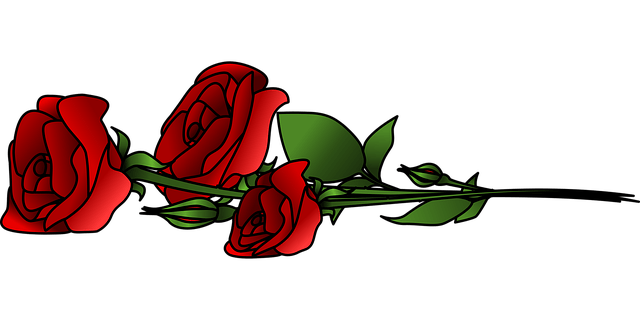 A vector graphic of three red roses in bloom, lying flat on an unseen surface. Thanks fo reading our post about storytelling and character-driven fantasy fiction.