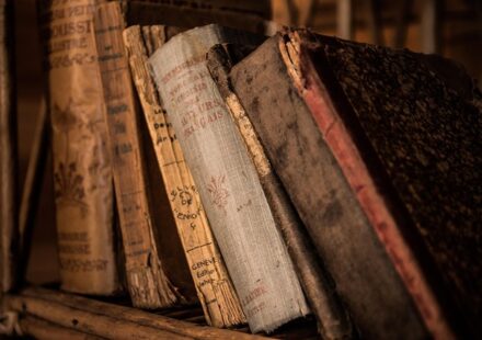 Six or so hardbound antique books on a shelf. They might be fantasy books, but the titles aren't in English. If they were in one binding it would be an indie publisher's dream.