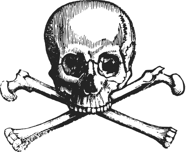 Illustration, skull and crossbones in black and white. Small press owner advice---don't take the email death threats too seriously.