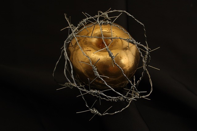 A golden apple is wrapped in barbed wire, symbolizing the "forbidden love," supposedly one of the most overused fantasy tropes.