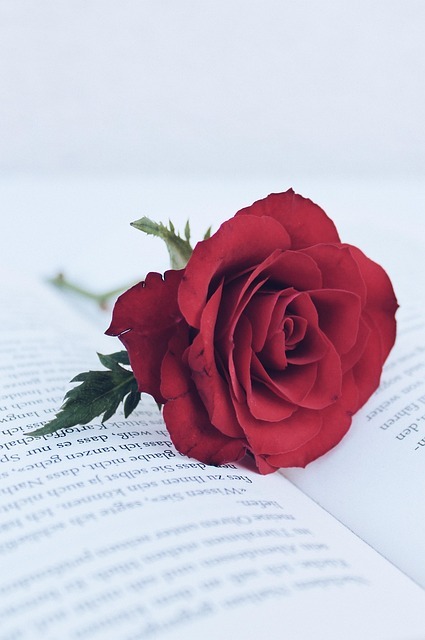 A red rose rests atop an open book, symbolizing the answer to the quetstion,"what is romantasy?"