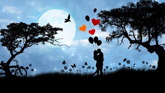What Is Romantasy? The Complete Genre Guide for New Readers Romantasy vs Fantasy Romance? Both genres look the same when the lovers finally embrace. As they have in this image, silhouetted against a moonlit night sky with balloons, butterflies, and flowers.